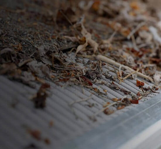 A close-up of a metal surface covered with dry leaves, twigs, and debris, likely showing a clogged gutter or screen in need of cleaning.