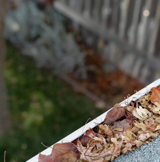 A close-up view of a house gutter filled with dry leaves and debris, with a blurred background showing a lawn and a wooden fence.