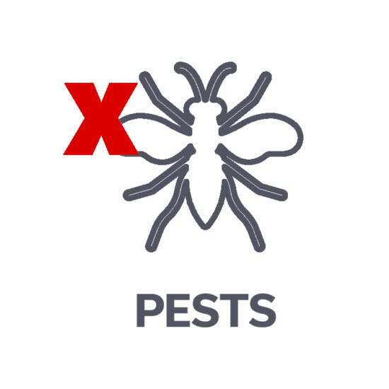 A red X overlaps a gray outline of an insect above the word PESTS in bold gray text on a white background.