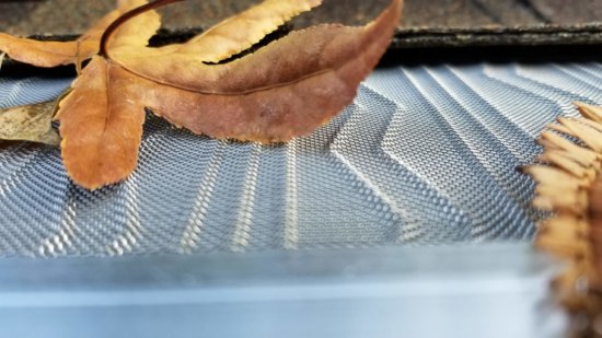 A close-up of a brown, dried leaf resting on a metallic mesh surface, with part of another leaf visible in the corner. The mesh has a wavy pattern, and the image is softly focused.