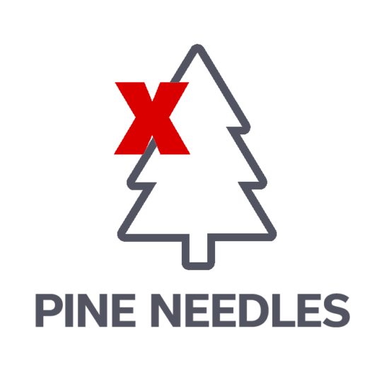 Outline of a pine tree with a large red X over it, and the words PINE NEEDLES written below in bold capital letters.