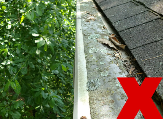 A house roof gutter is clogged with dirt, leaves, and debris. Moss and lichen are growing on the gutter, and a large red X indicates a problem. Green tree leaves are visible to the left.