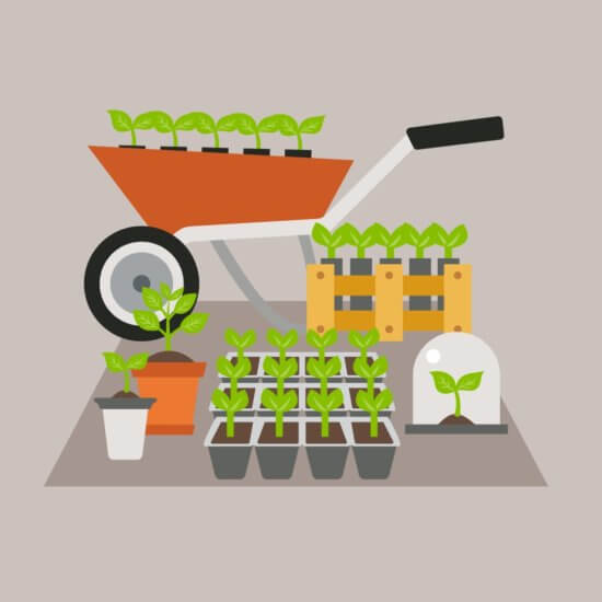 Illustration of gardening tools and young plants, including a wheelbarrow with seedlings, pots with sprouting plants, seedling trays, a mini greenhouse dome, and a wooden planter, all arranged on a flat surface.