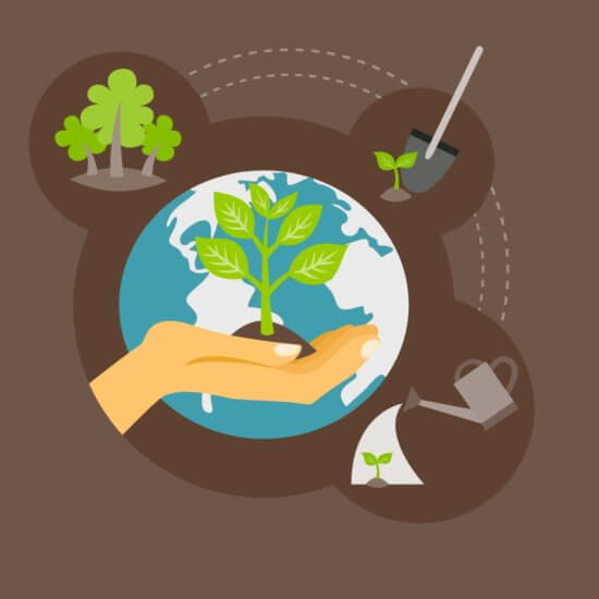 Illustration of a hand holding a small plant in front of a globe, surrounded by icons of trees, a shovel, a watering can, and a sprouting seed, symbolizing environmental care and growth.