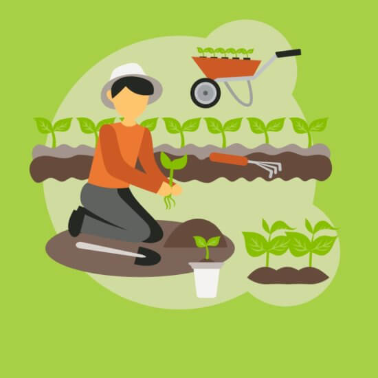 Illustration of a person gardening, kneeling on the ground while planting a seedling. Nearby are rows of green plants, a potted seedling, a gardening fork, and a red wheelbarrow filled with seedlings.