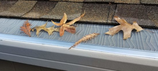 Several dry leaves rest on a metal gutter guard beneath roof shingles. The mesh screen prevents leaves from entering the gutter, and the roof above has brown and gray shingles.