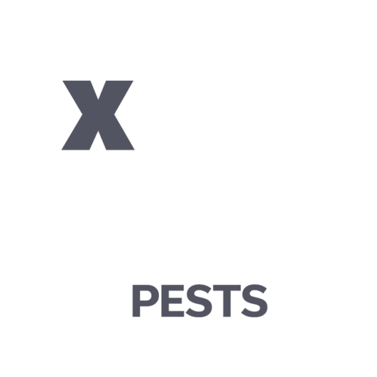 A large letter X overlaps a faint outline of an insect. Below, the word PESTS is written in bold letters, suggesting elimination or control of pests. The background is light gray.