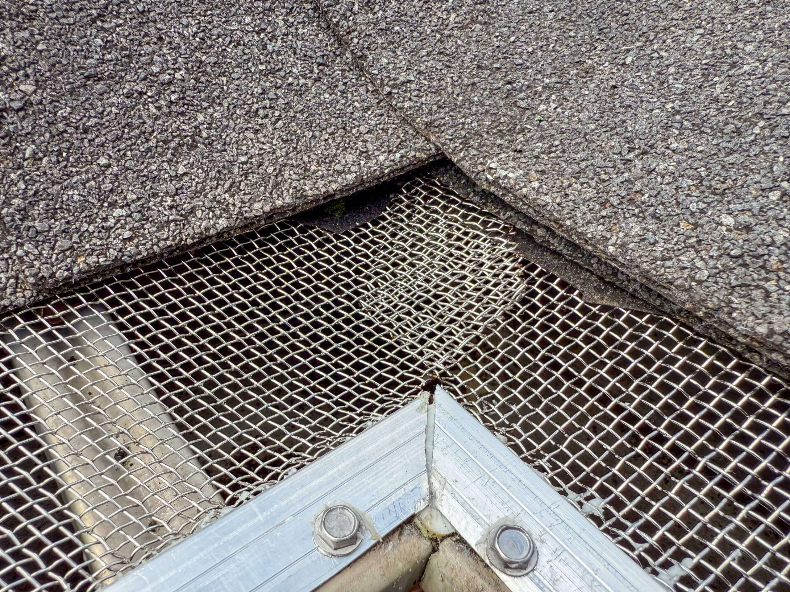 Close-up of a roof edge featuring a stainless steel micro-mesh gutter guard under asphalt shingles, with a visible seam where roof sections meet and some debris caught in the mesh.